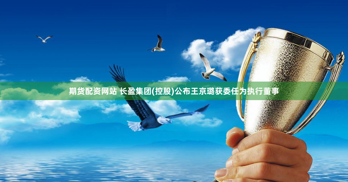 期货配资网站 长盈集团(控股)公布王京璐获委任为执行董事