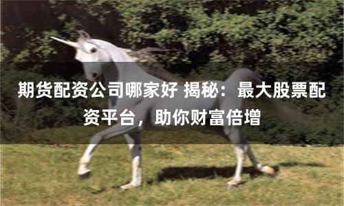 期货配资公司哪家好 揭秘：最大股票配资平台，助你财富倍增