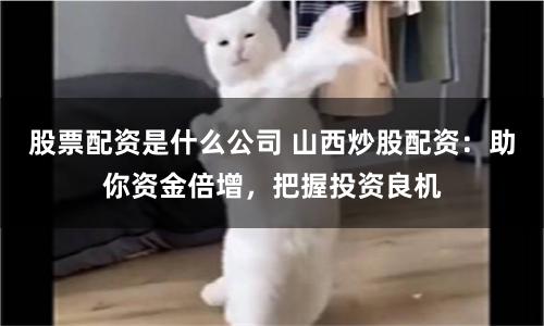 股票配资是什么公司 山西炒股配资：助你资金倍增，把握投资良机