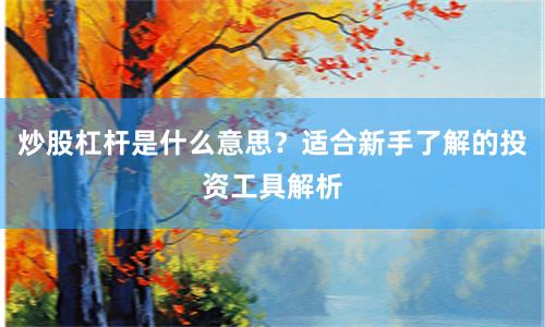 炒股杠杆是什么意思？适合新手了解的投资工具解析
