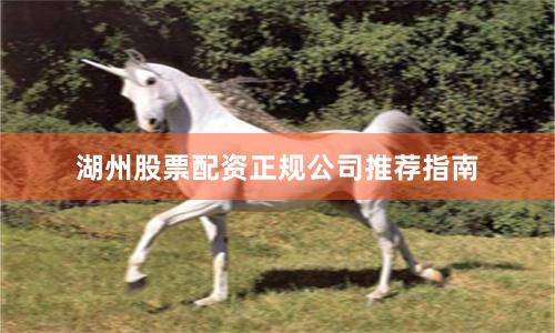 湖州股票配资正规公司推荐指南